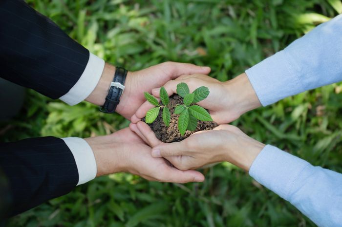 Synergy of Profitability and ESG